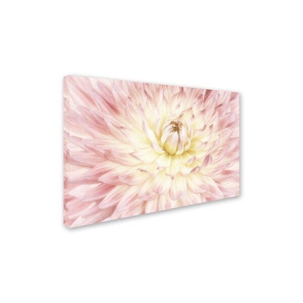 Cora Niele 'Dahlia Flower' Canvas Art,22x32